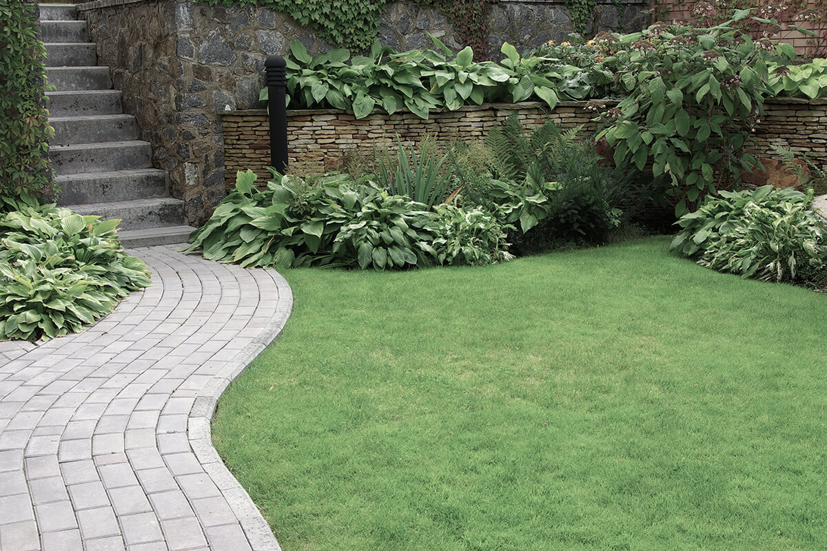 Welcome to J&T Landscaping